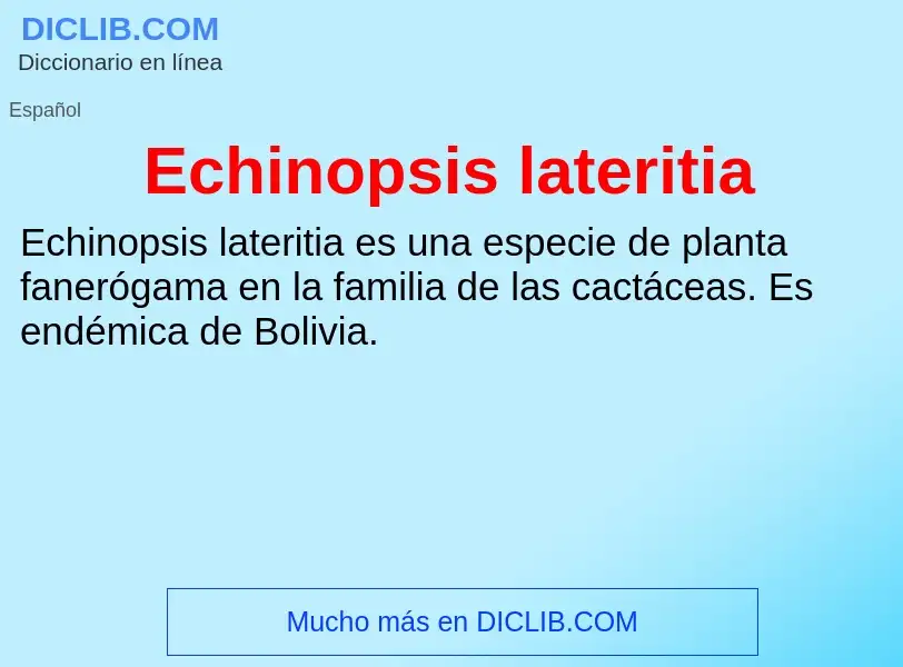 What is Echinopsis lateritia - meaning and definition