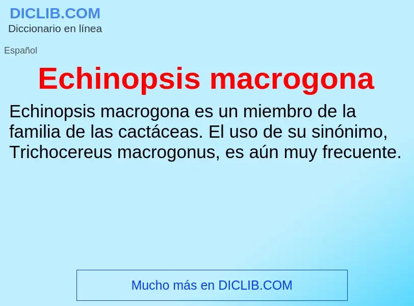 What is Echinopsis macrogona - meaning and definition