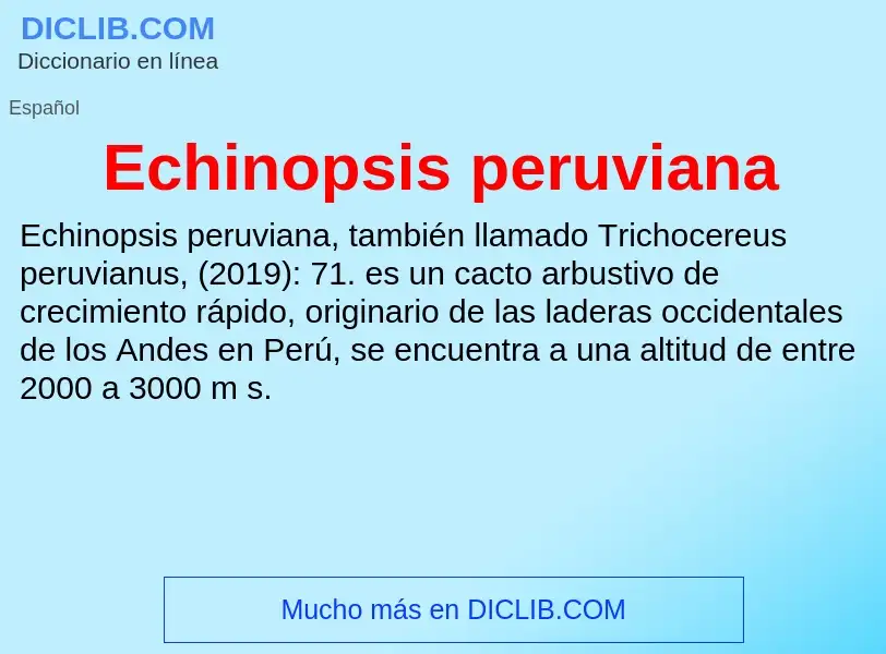 What is Echinopsis peruviana - meaning and definition