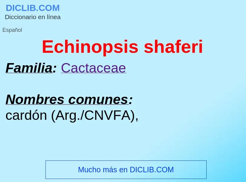 What is Echinopsis shaferi - meaning and definition