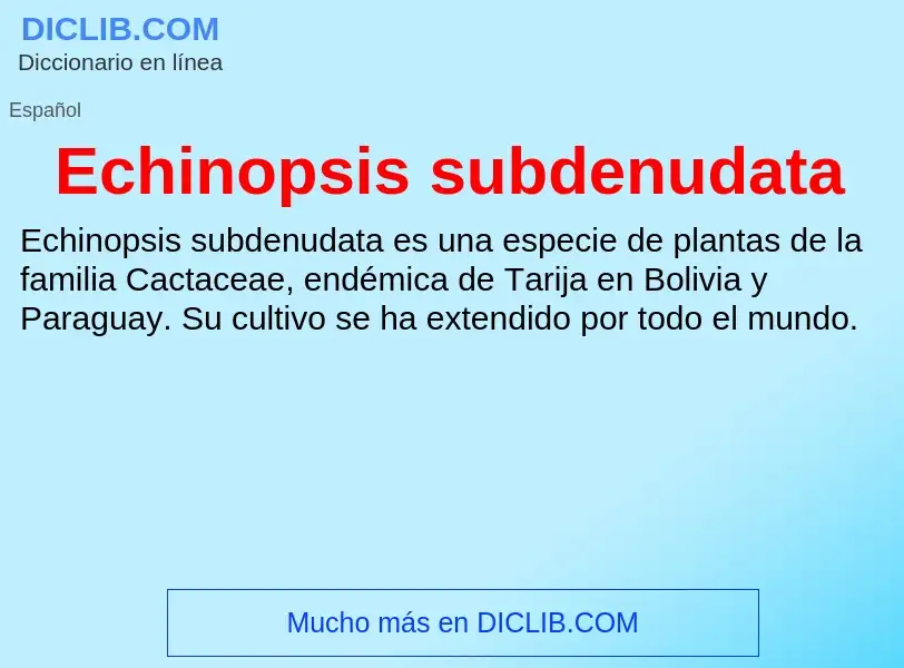 What is Echinopsis subdenudata - meaning and definition