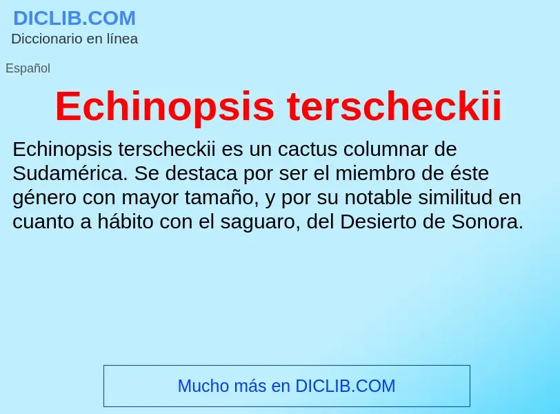 What is Echinopsis terscheckii - meaning and definition