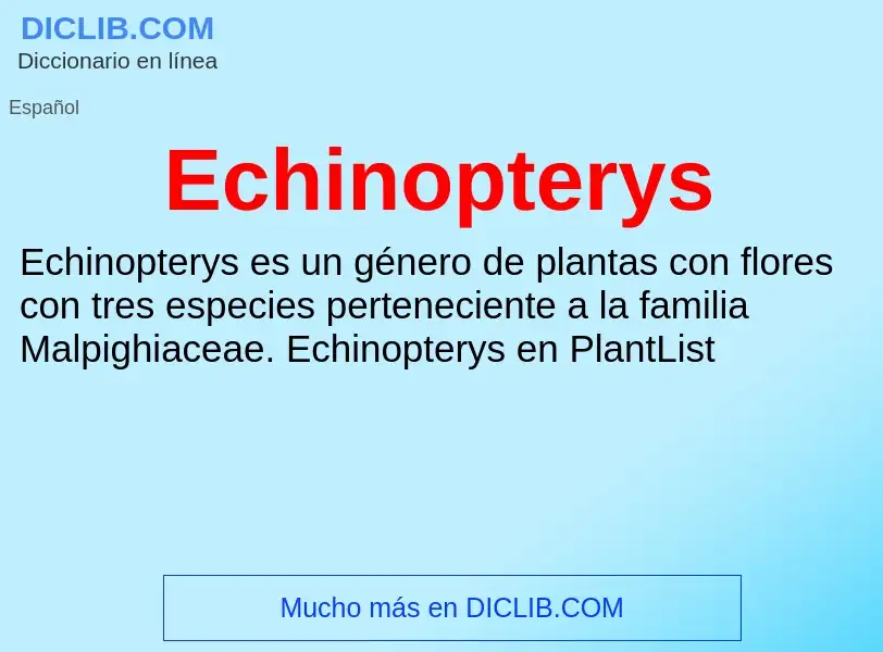 What is Echinopterys - meaning and definition