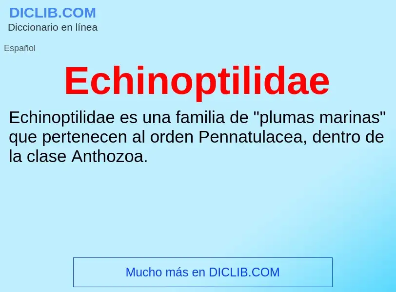 What is Echinoptilidae - meaning and definition