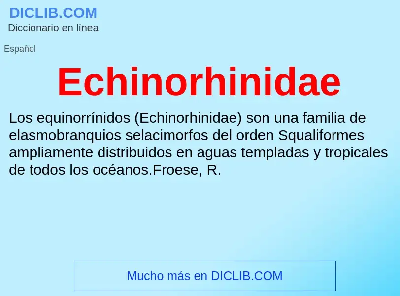 What is Echinorhinidae - meaning and definition