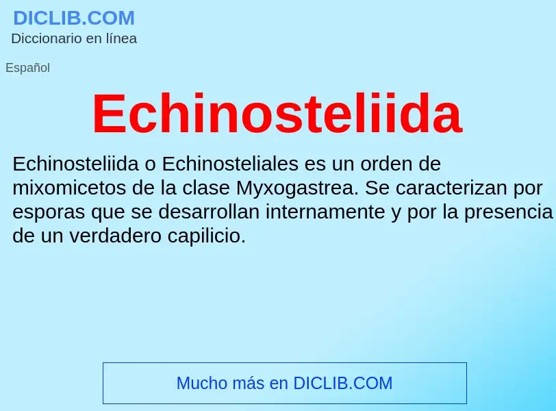 What is Echinosteliida - meaning and definition