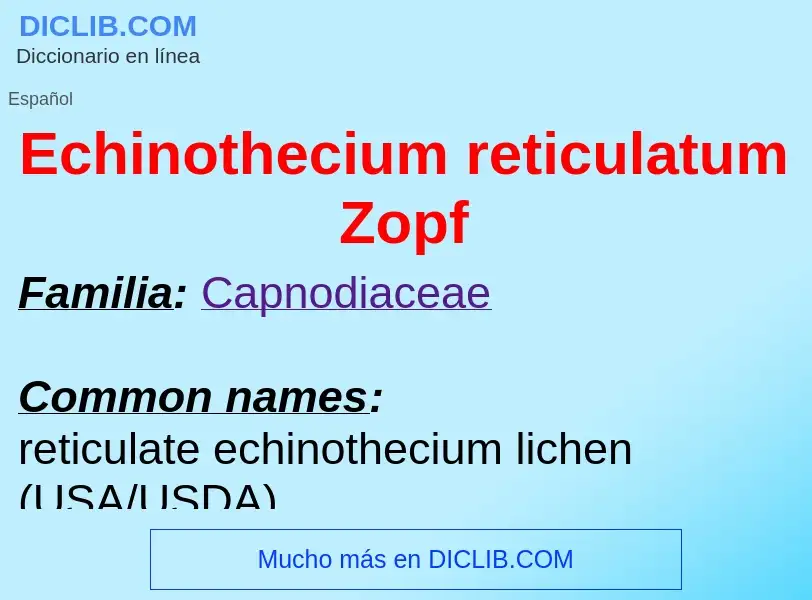 What is Echinothecium reticulatum Zopf - meaning and definition