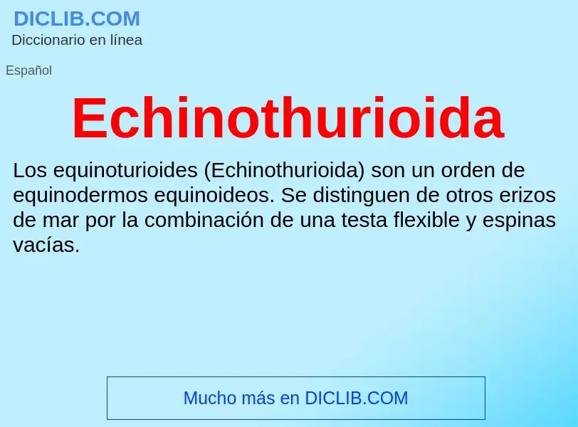 What is Echinothurioida - meaning and definition