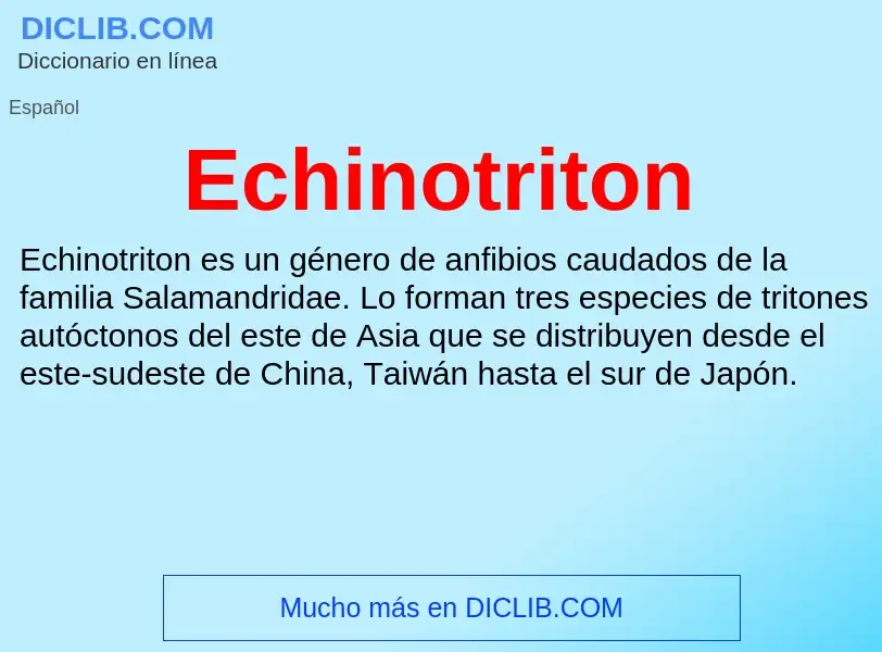 What is Echinotriton - meaning and definition