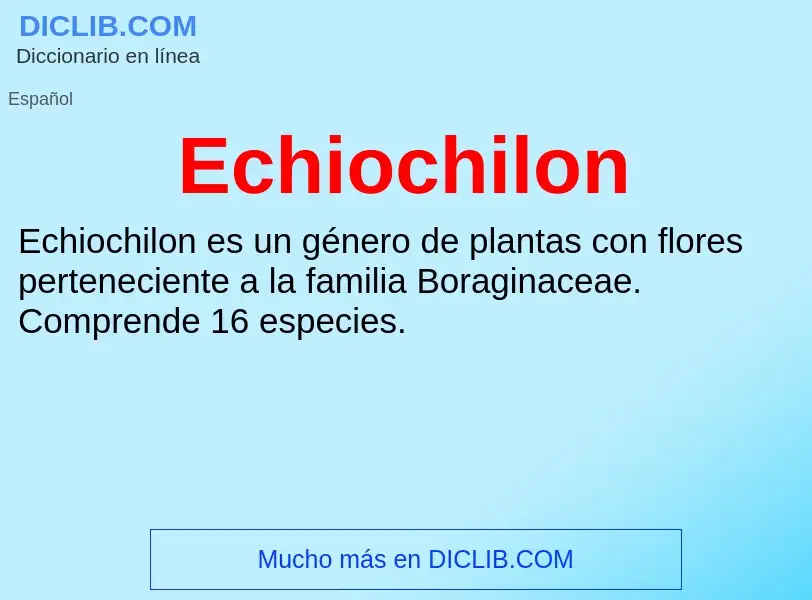 What is Echiochilon - meaning and definition