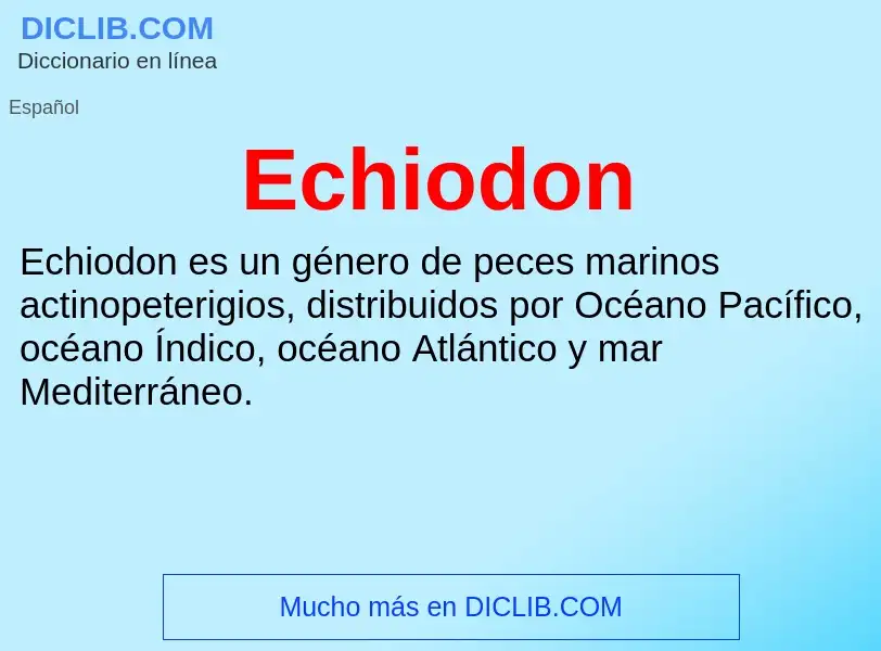 What is Echiodon - meaning and definition