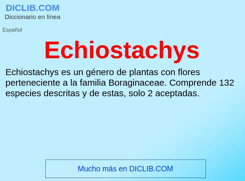 What is Echiostachys - meaning and definition