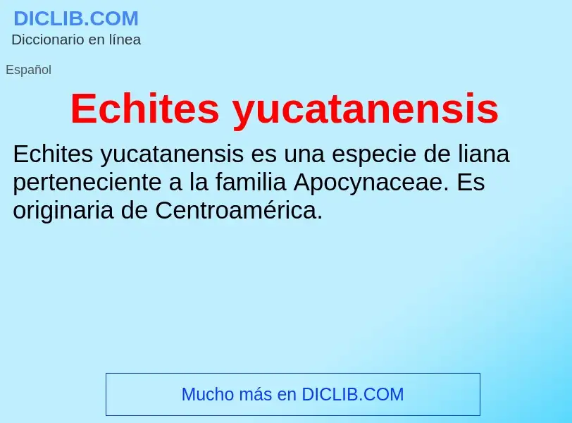 What is Echites yucatanensis - meaning and definition