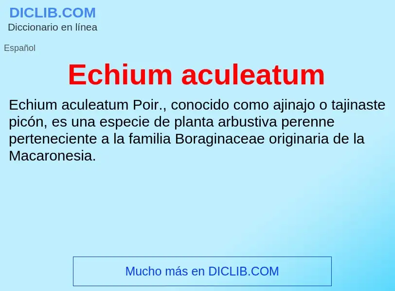 What is Echium aculeatum - meaning and definition