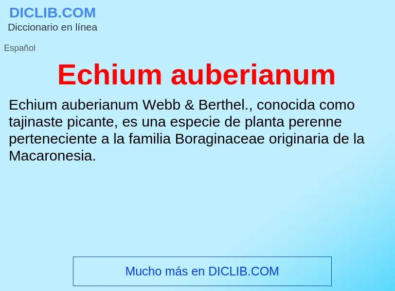 What is Echium auberianum - meaning and definition