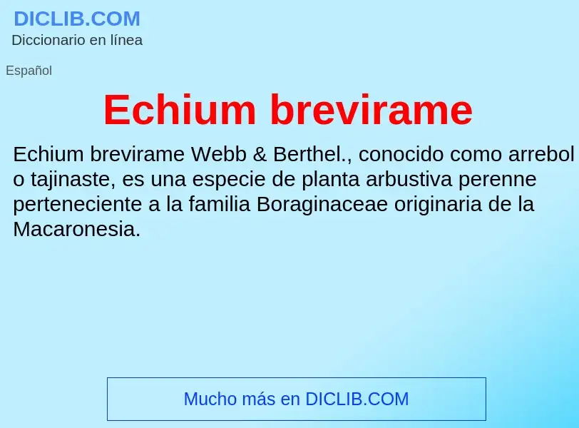 What is Echium brevirame - meaning and definition