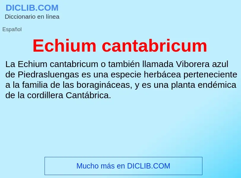 What is Echium cantabricum - meaning and definition