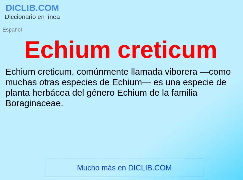 What is Echium creticum - meaning and definition