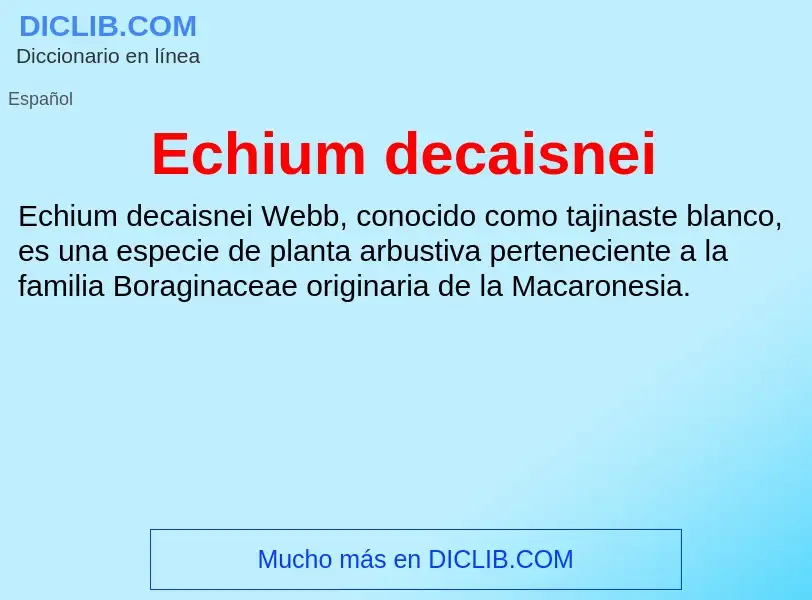 What is Echium decaisnei - meaning and definition