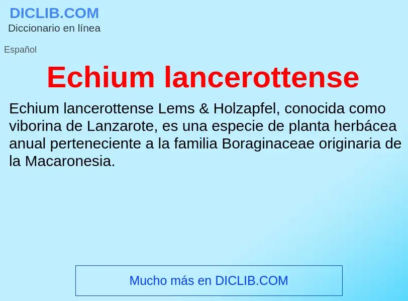 What is Echium lancerottense - meaning and definition