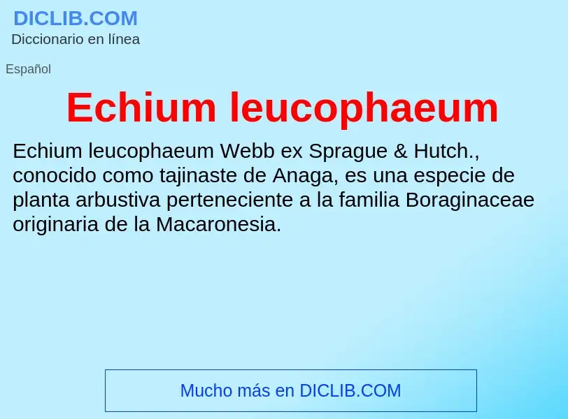 What is Echium leucophaeum - meaning and definition