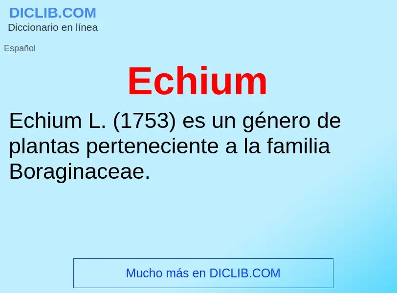 ¿Qué es Echium? - significado y definición