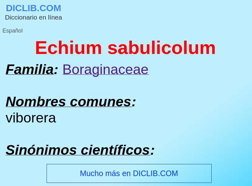 What is Echium sabulicolum - meaning and definition