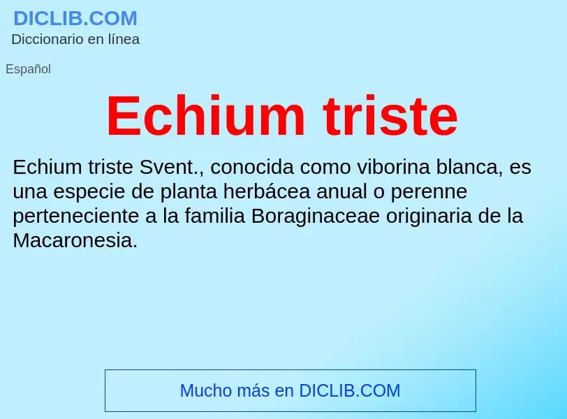 What is Echium triste - meaning and definition