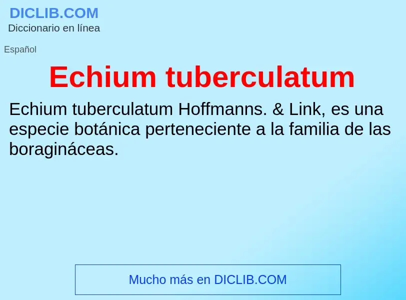 What is Echium tuberculatum - meaning and definition