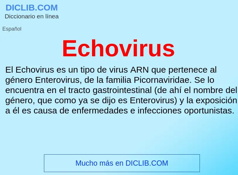 What is Echovirus - meaning and definition