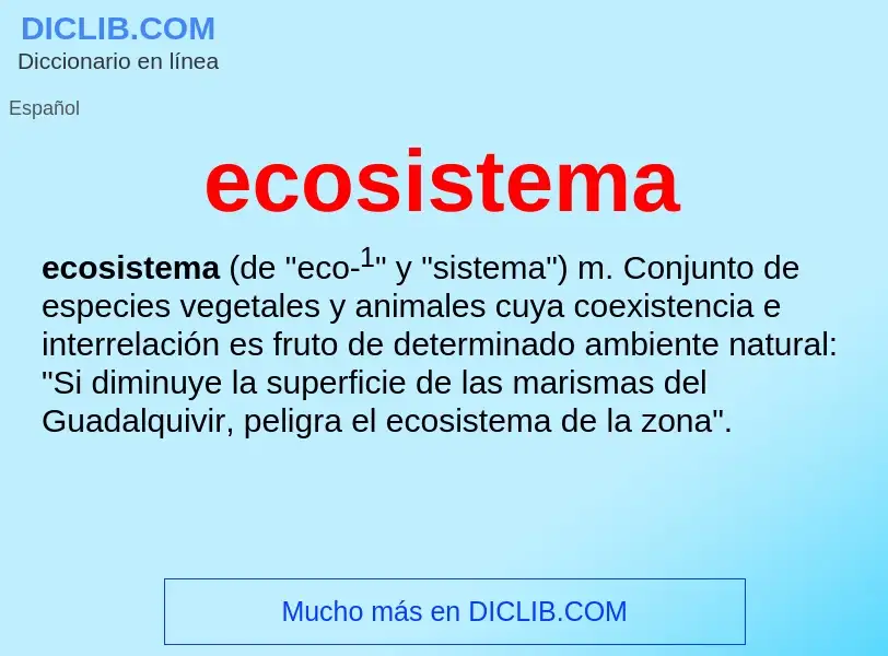 What is ecosistema - definition