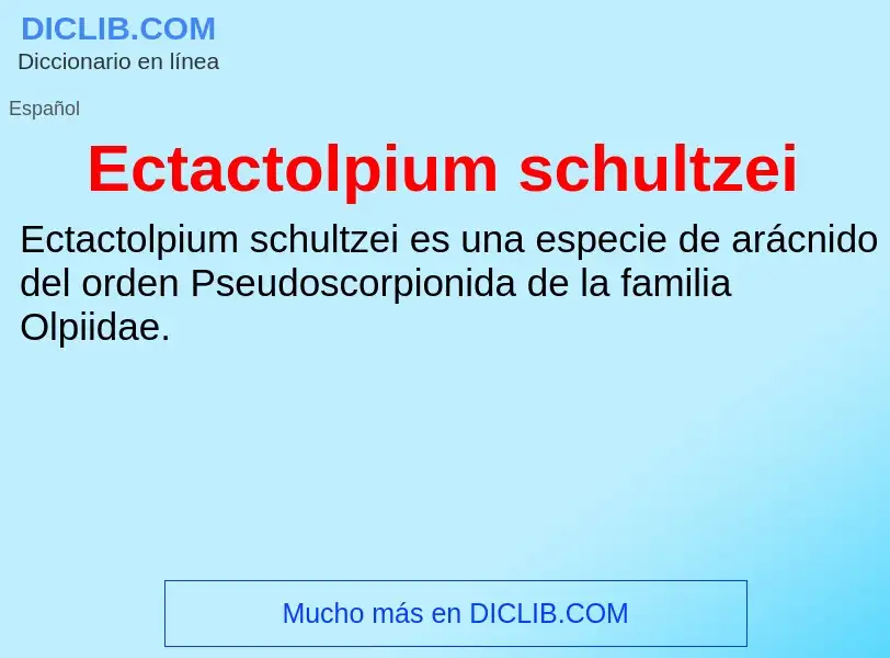 What is Ectactolpium schultzei - meaning and definition