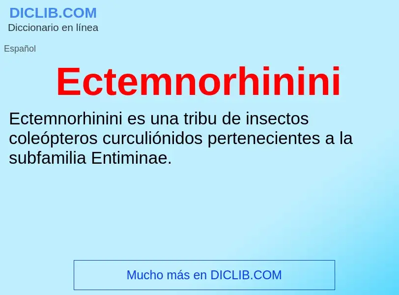 What is Ectemnorhinini - meaning and definition