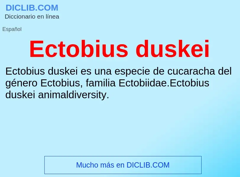 What is Ectobius duskei - meaning and definition