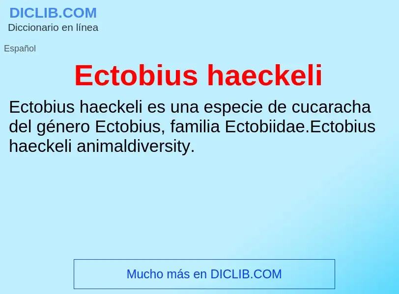 What is Ectobius haeckeli - meaning and definition