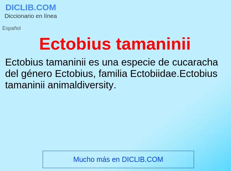 What is Ectobius tamaninii - meaning and definition