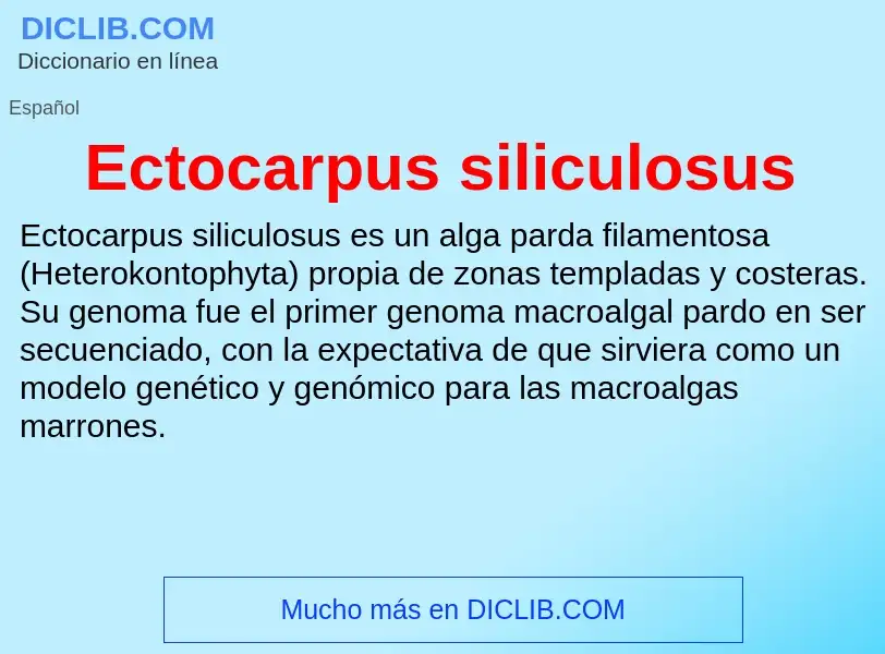 What is Ectocarpus siliculosus - meaning and definition