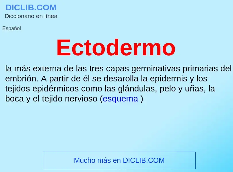 What is Ectodermo - meaning and definition