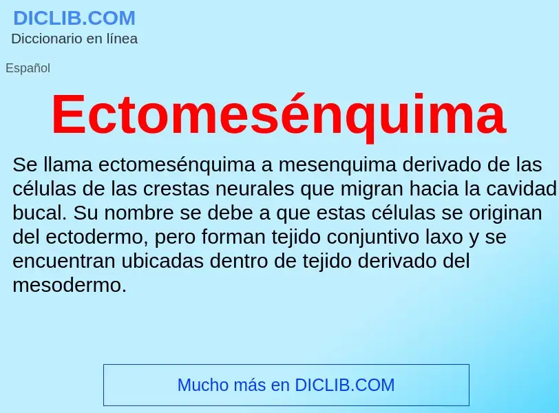 What is Ectomesénquima - meaning and definition