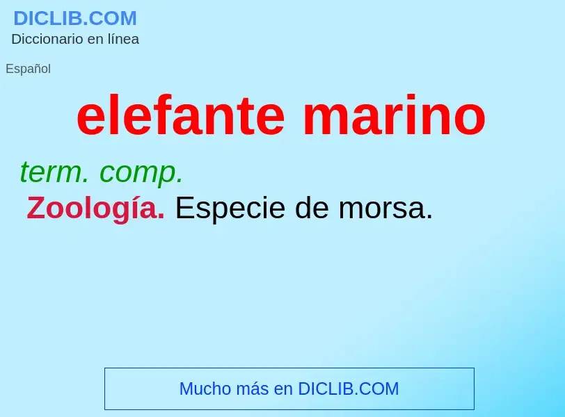 O que é elefante marino - definição, significado, conceito