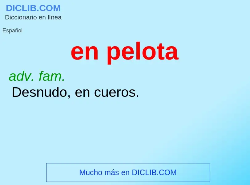 Wat is en pelota - definition