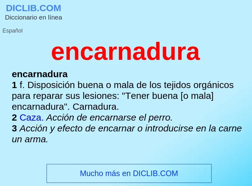 ¿Qué es encarnadura? - significado y definición