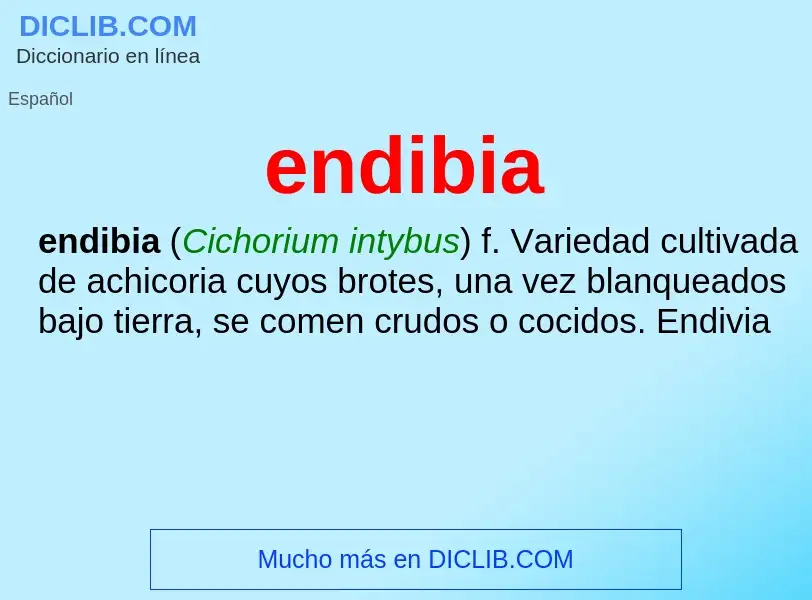 What is endibia - definition