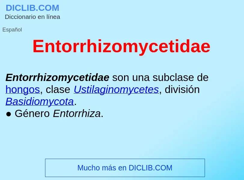 ¿Qué es Entorrhizomycetidae ? - significado y definición