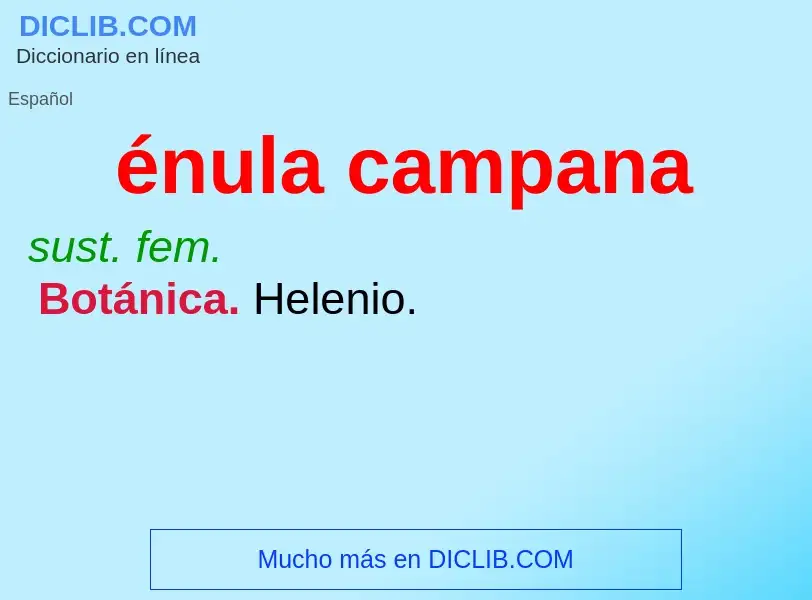 What is énula campana - meaning and definition