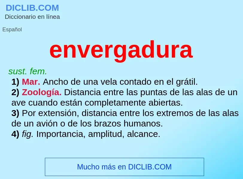 What is envergadura - definition