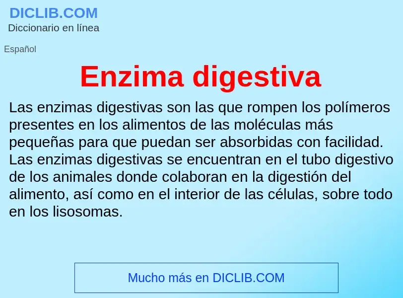 ¿Qué es Enzima digestiva? - significado y definición