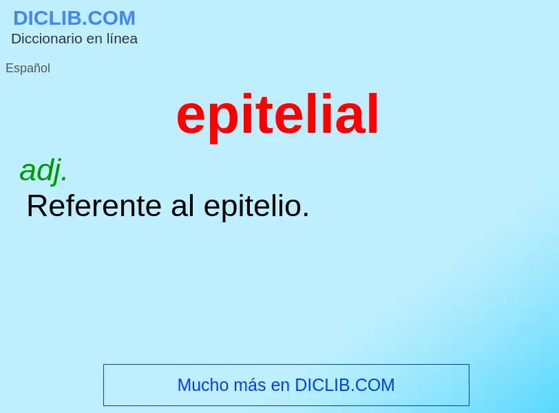 ¿Qué es epitelial? - significado y definición