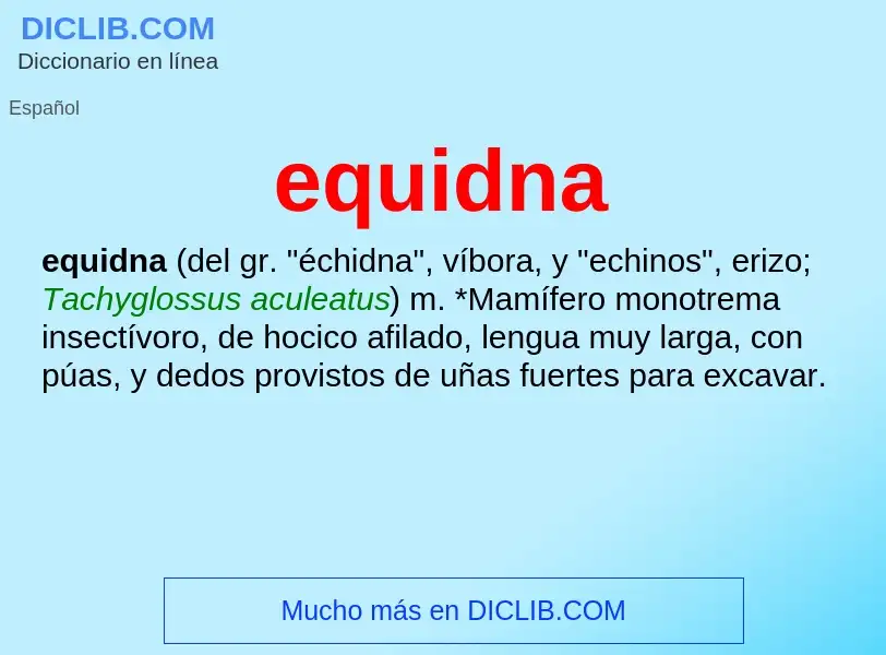 ¿Qué es equidna? - significado y definición