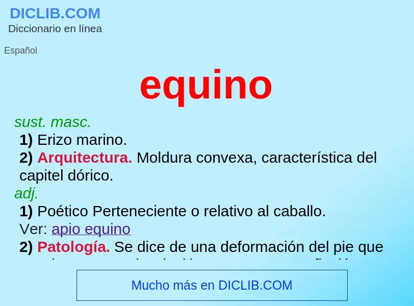 What is equino - definition